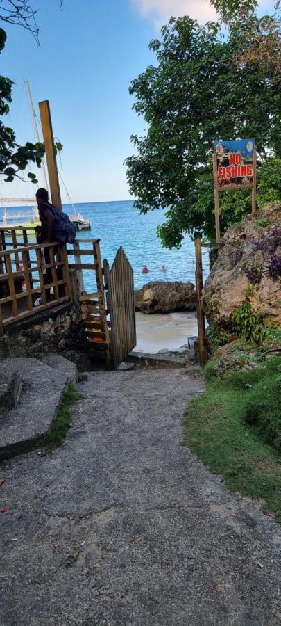 Komfort Getaway Villa At Countrymist Ocho Rios Dış mekan fotoğraf